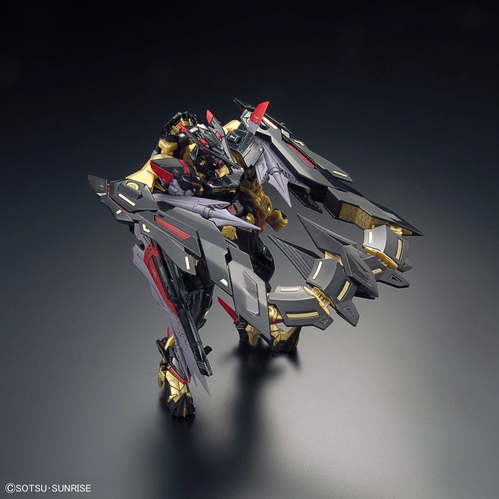 RG 1/144 GUNDAM ASTRAY GOLDFRAME AMATSU MINA DAM