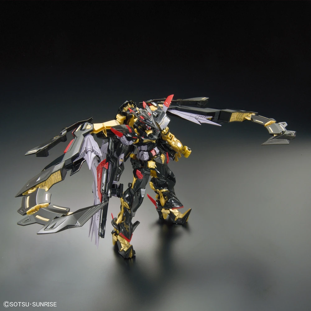 RG 1/144 GUNDAM ASTRAY GOLDFRAME AMATSU MINA DAM