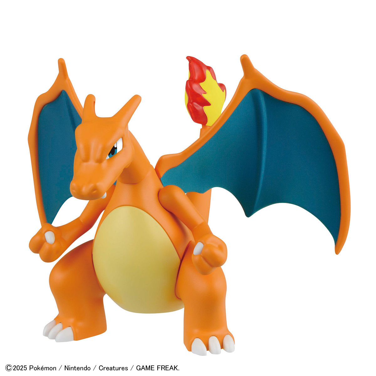 Pokémon Model Kit CHARIZARD & DRAGONITE DAM