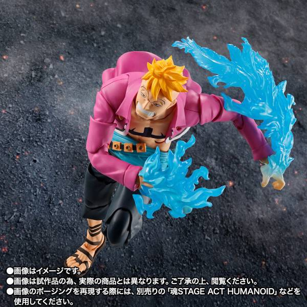 S.H.FIGUARTS: One Piece - Marco (Marineford Summit Battle) (Limited + Bonus) DAM